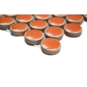 Simple Rimmed Penny Rounds Tangerine
