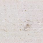 Textured Stone – Irish Cream