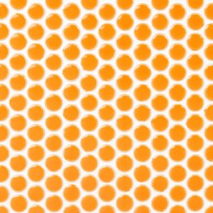 Simple Rimmed Penny Rounds Tangerine