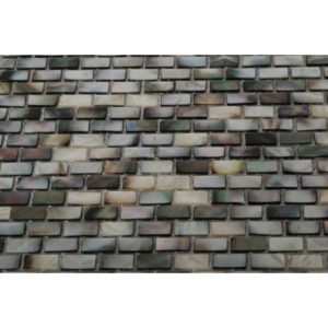 Pearl Brick Black Lip Semi-Precious