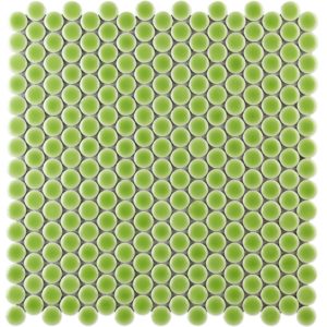 Simple Rimmed Penny Rounds Key Lime