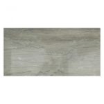 Tennesse Taupe 12X24