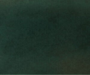 Casablanca Green 3×12 Field Tile Glossy