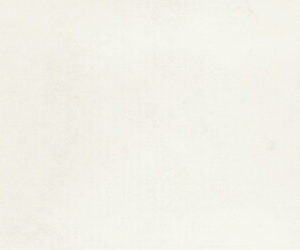 Casablanca White 3×12 Field Tile Glossy