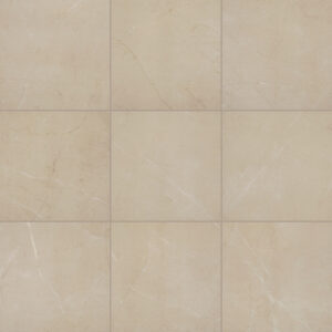 Elegant Beige