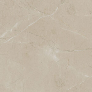 Elegant Beige