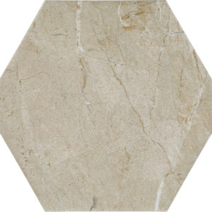 Elegant Beige