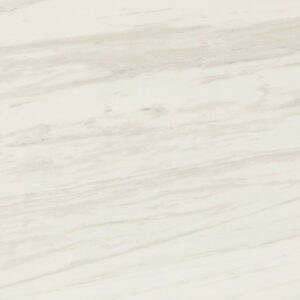 Timeless White